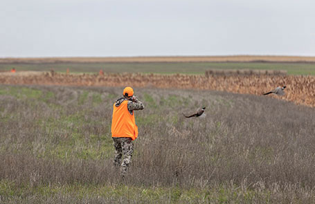 Hunt Stories