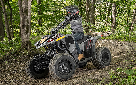 22 Polaris Phoenix 0 Atv 22 Polaris Phoenix 0 Atv