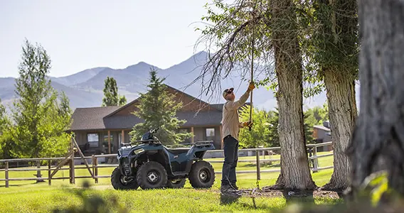 Propriétaire du Sportsman 570 élaguant un arbre