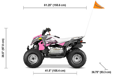Outlaw 110 EFI Avalanche Gray Pink Power Specifications