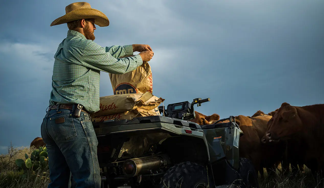 farmer loading feedbags onto the rear end of his sportsman 450 atv