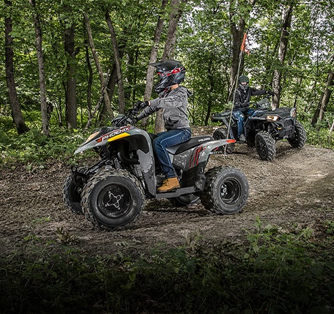 View 2026 Polaris Phoenix 200 models.