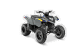 2026 Phoenix 200