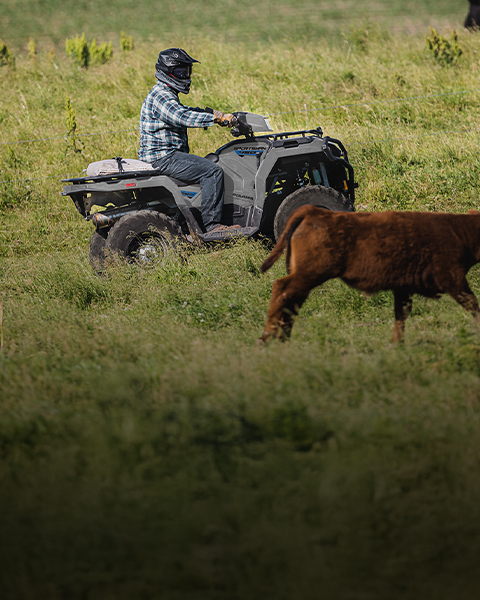A Polaris Sportsman 450 ATV pulls hay bales in a grassy field near a rustic barn.