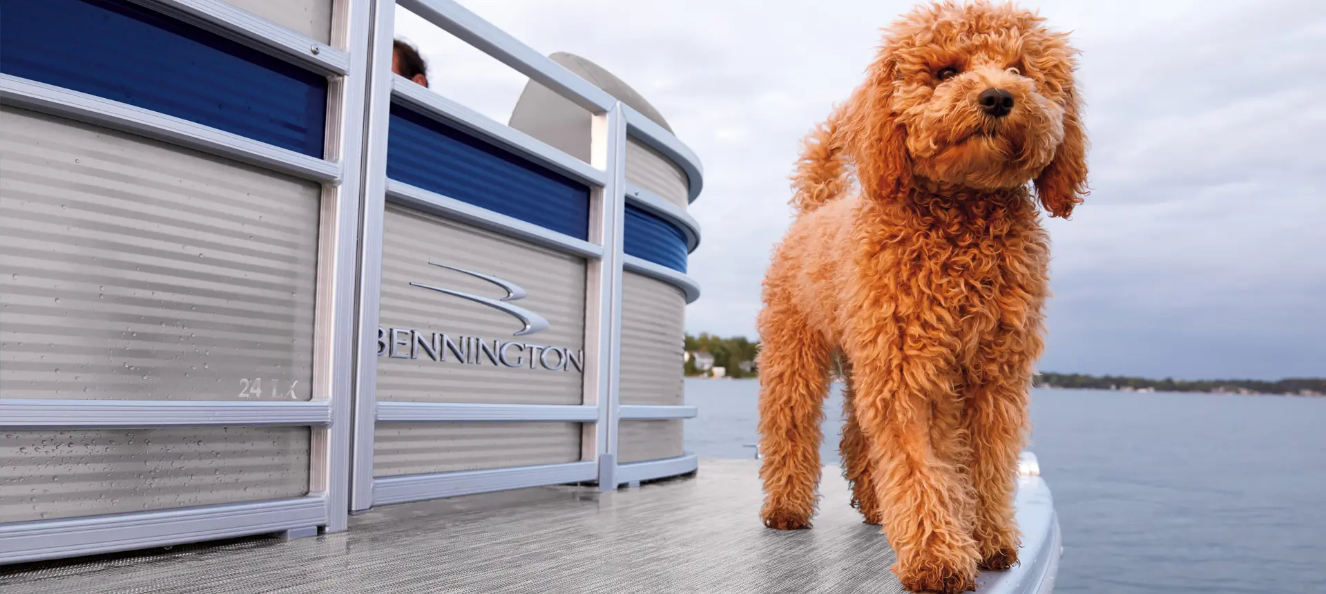 dog on the bow of a Bennington LX pontoon