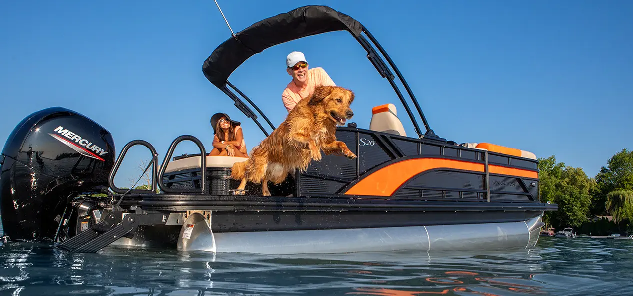 dog jumping off the stern of a bennington s series pontoon