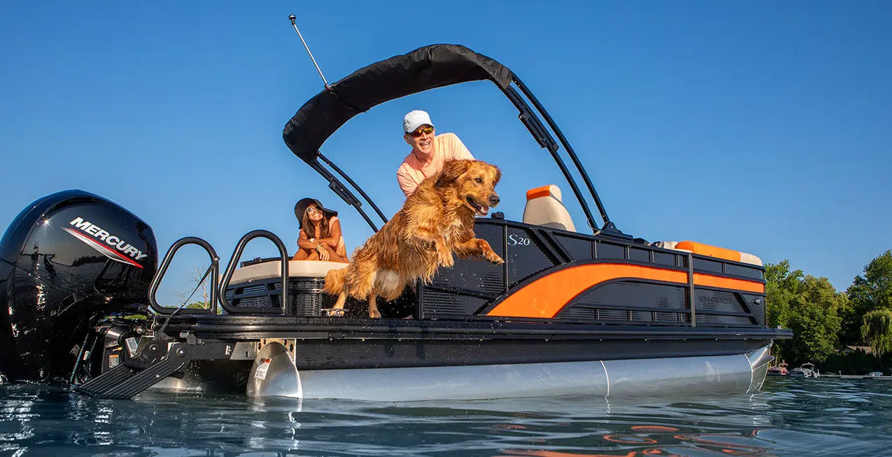 Dog jumping into the water off the stern on a Bennington S Line pontoon boat.