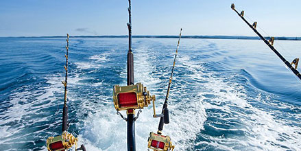Inshore vs Offshore Fishing: What's the Difference?