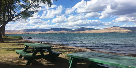 Montana lake shore