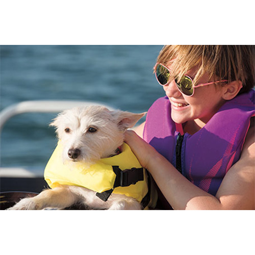 Boating safety and accessories for your pets