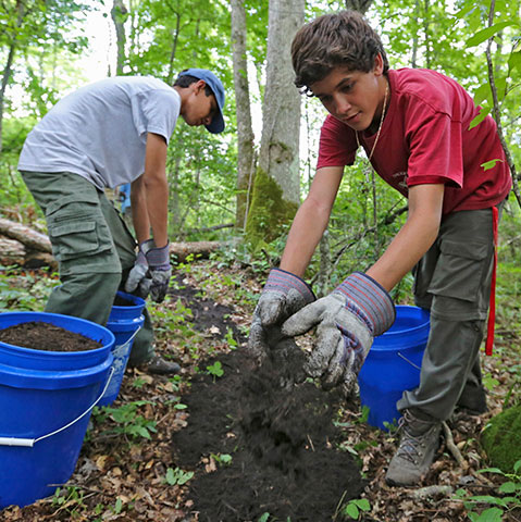 Imagen de dos niños pequeños plantando árboles