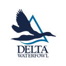 Delta Waterfowl logo.