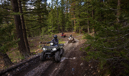 Polaris ATVs riding on a forest trail.