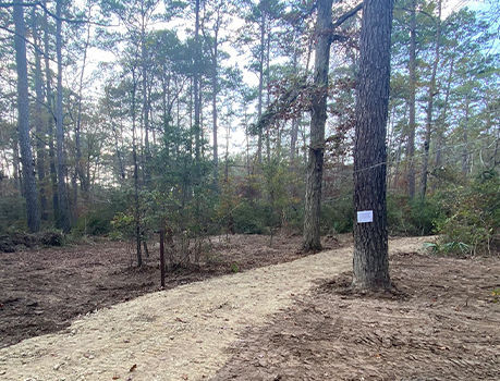 Improved multi-use trail section in Sam Houston National Forest.