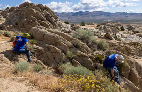 New Grant Program Announced to Support OHV Recreation Access and Safety on Bureau of Land Management Lands
