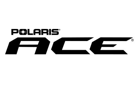 Polaris Recalls ACE 325