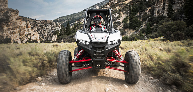 RZR RS1