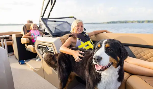 girl and a dog on a godfrey aquapatio windshield pontoon