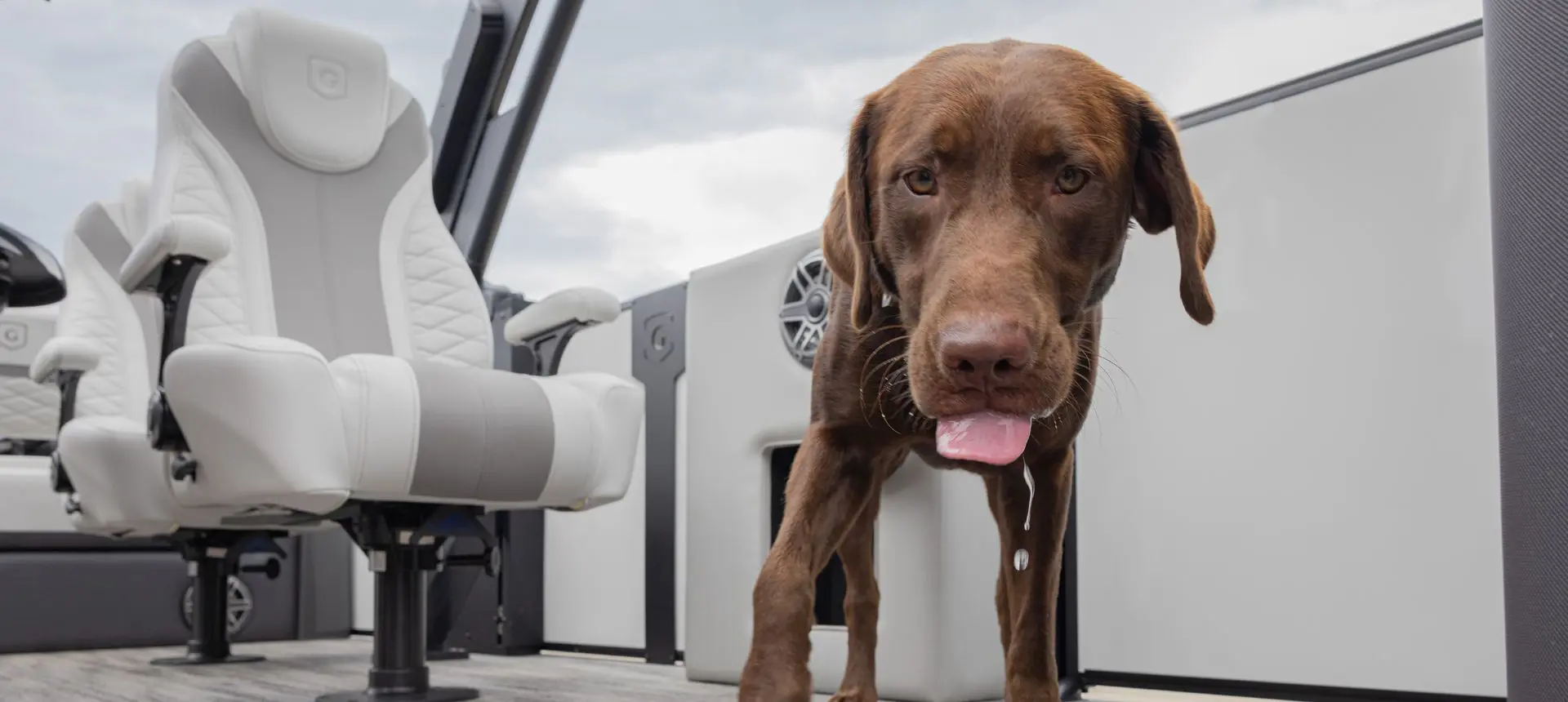 A dog on a Godfrey Monaco pontoon boat.