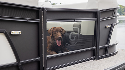 Dog peeking through SeaView Gate on a Godfrey Pontoon boat. 
