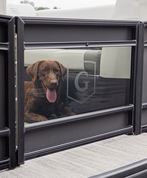 A dog looking through a see-through gate at the bow of a Godfrey Monaco pontoon boat