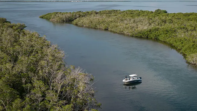Aerial view of a family fishing on a Hurricane fishing boat.