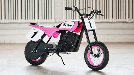 Indian eFTR Mini Pink Beauty Shot