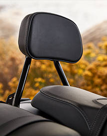 Indian Motorcycle seats & backrests. 