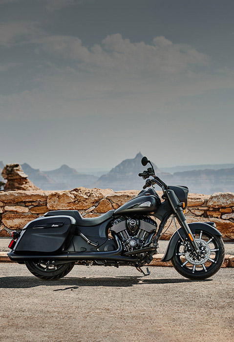 Springfield Dark Horse: Unleashing Power and Precision