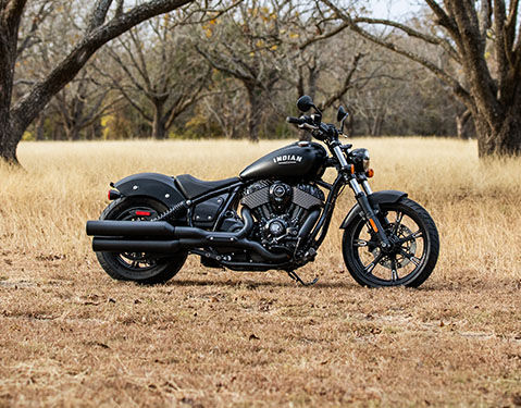 Side profile of a 2025 Indian Chief Dark Horse cruiser motorcycle parked in a field with trees in the background.