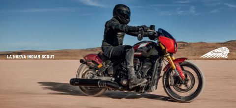 2025 Indian Scout Catalog