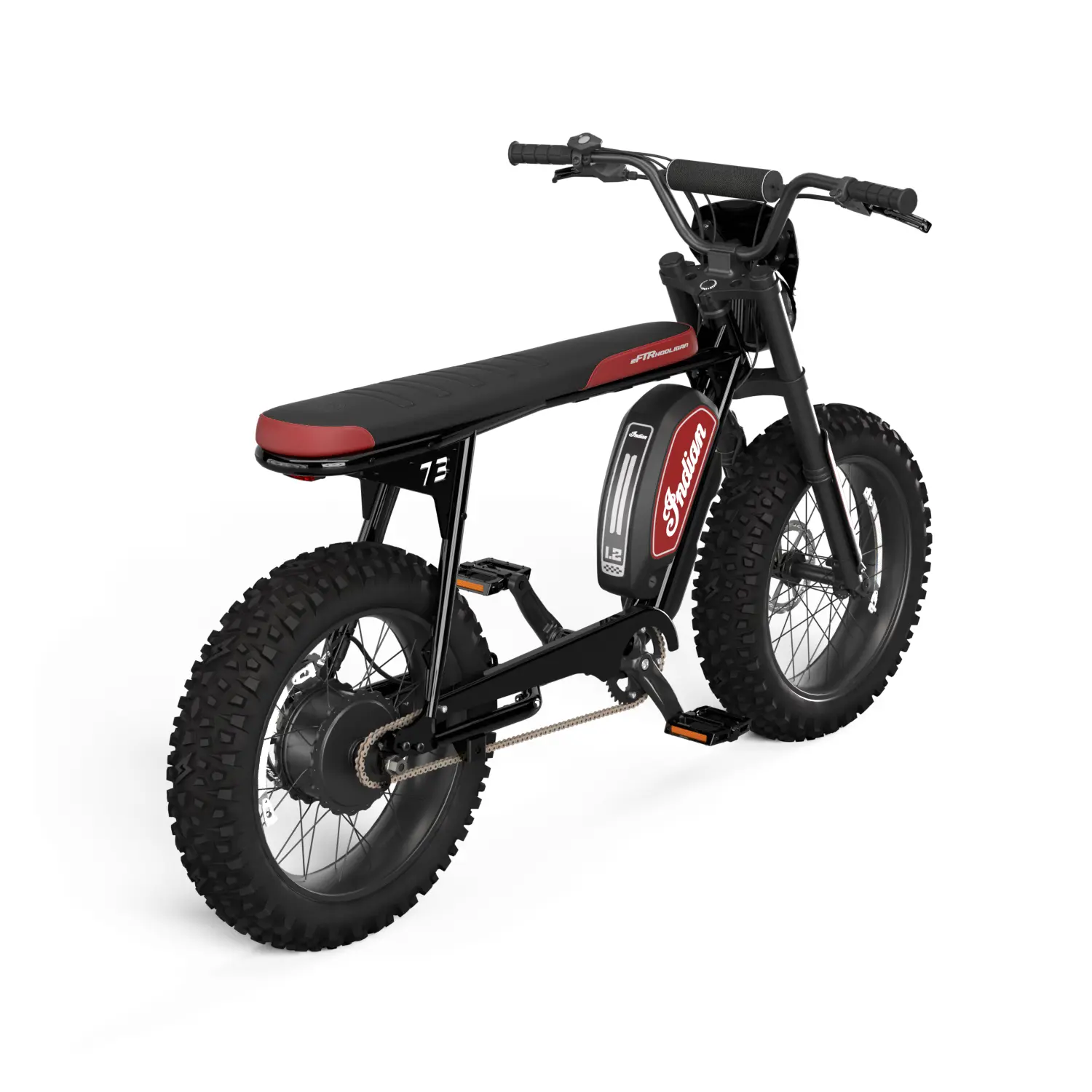 Electric Bike eFTR Hooligan Indian Motorcycle