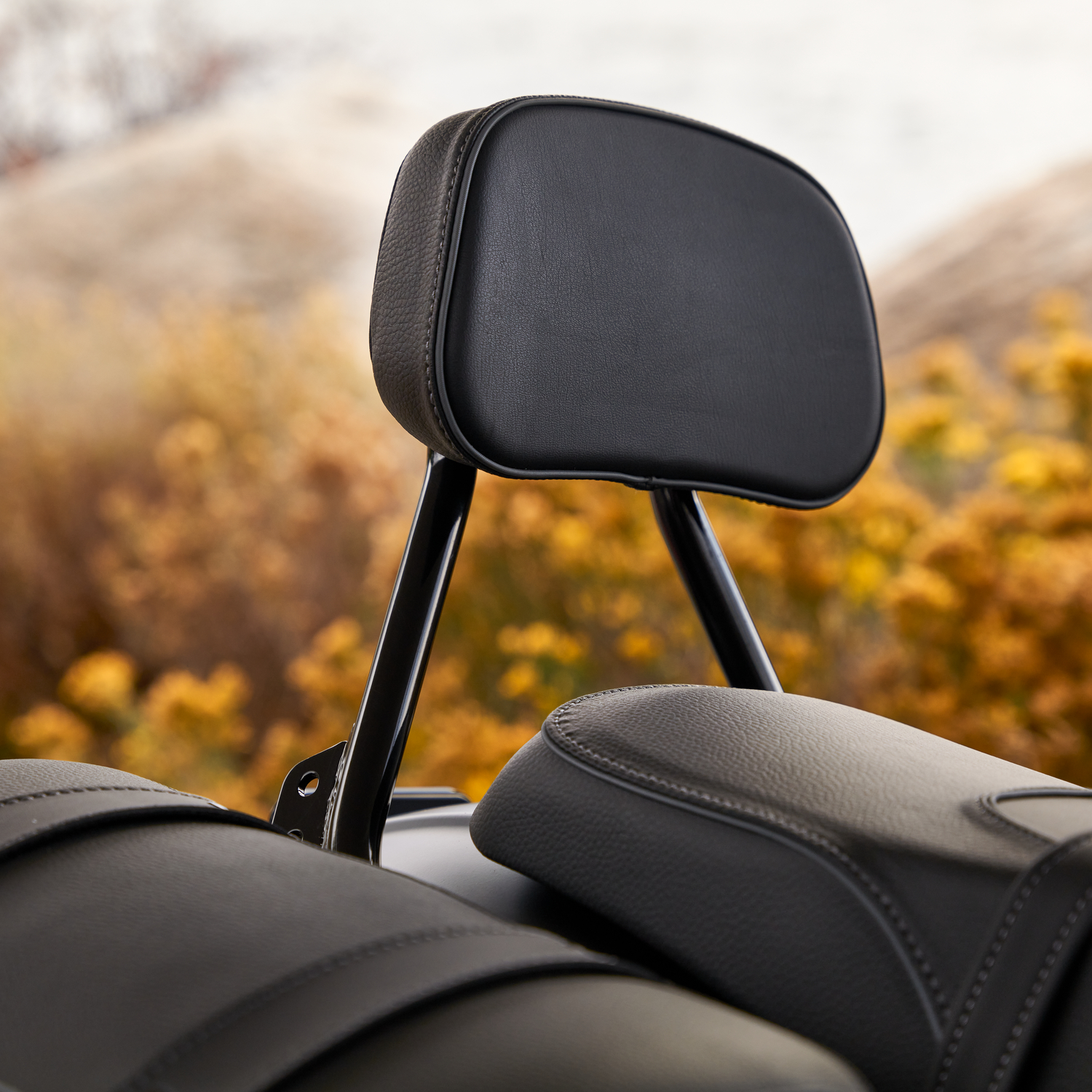 Syndicate Low Profile Passenger Backrest | Indian Motorcycle