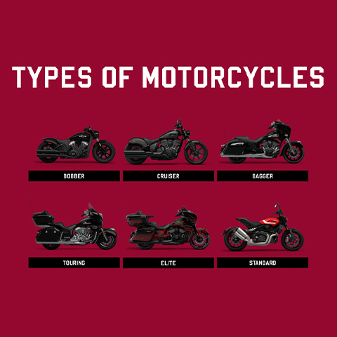 Moto1 New Zealand Authority