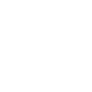 Alpinestars