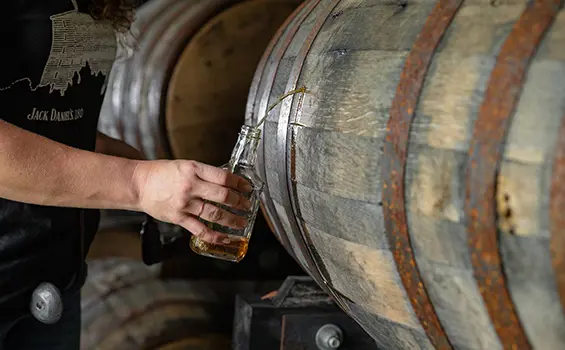 2019 Jack Daniel's Limited Edition Indian Springfield