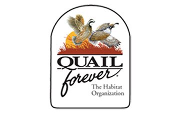 Quail Forever