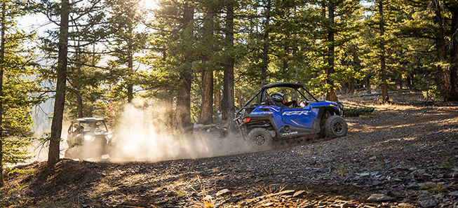 RZR 900