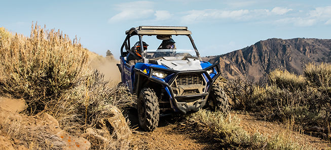 RZR 900