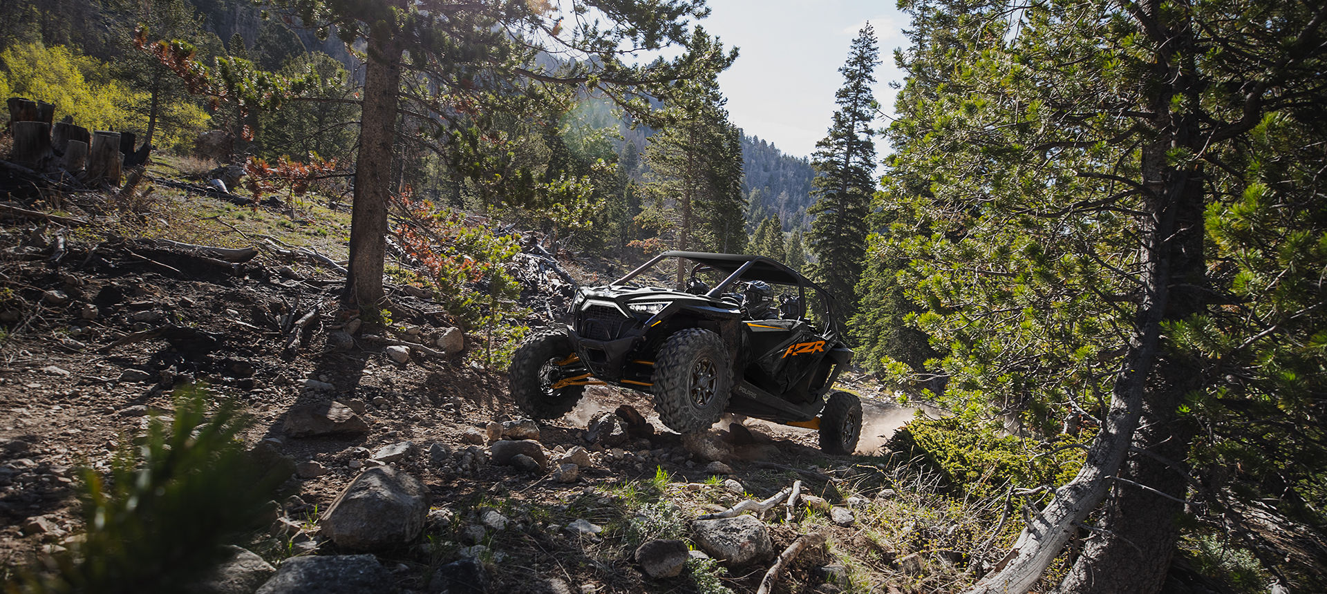 RZR PRO XP