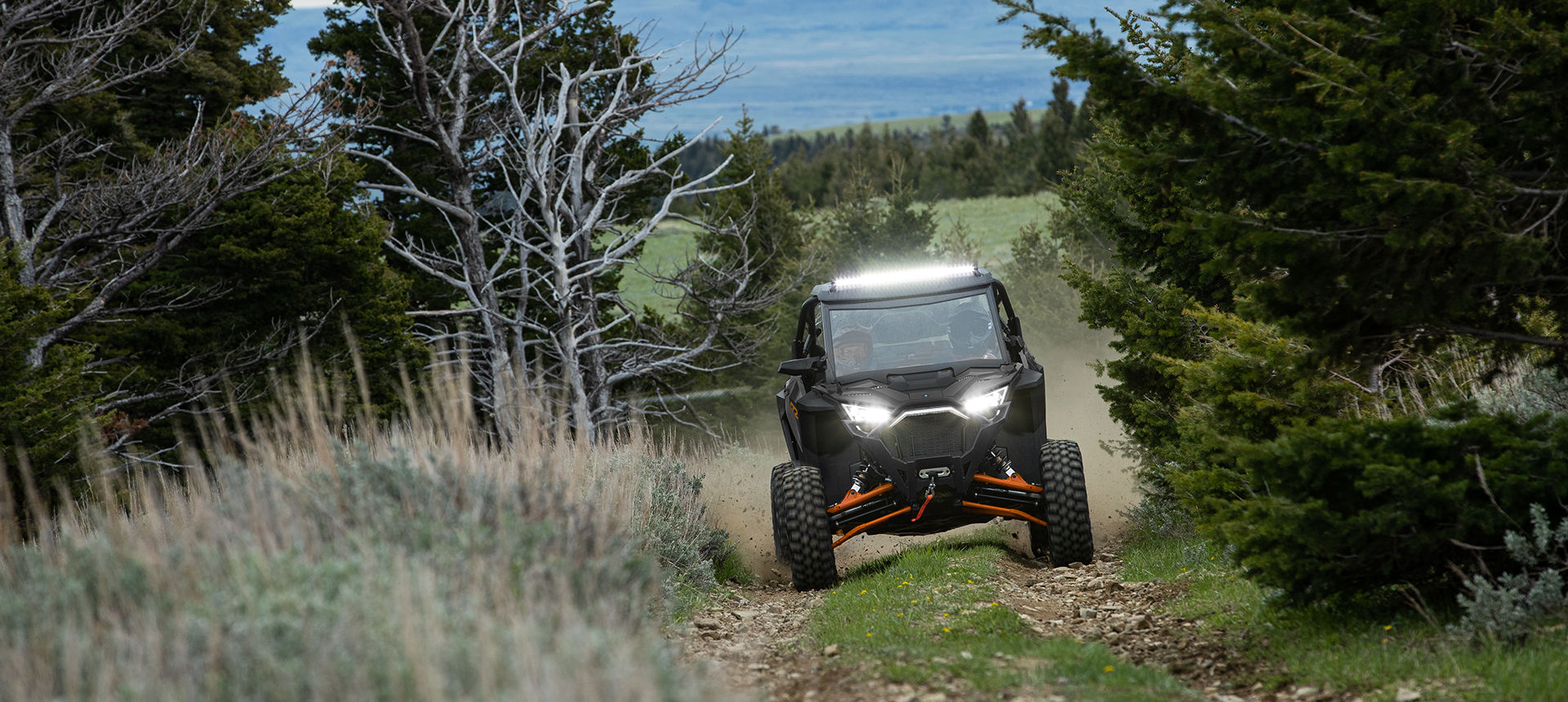 RZR PRO XP