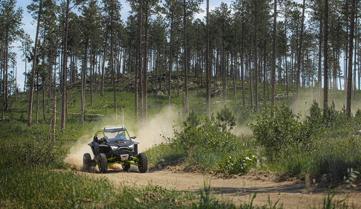 RZR Pro R on a forest trail