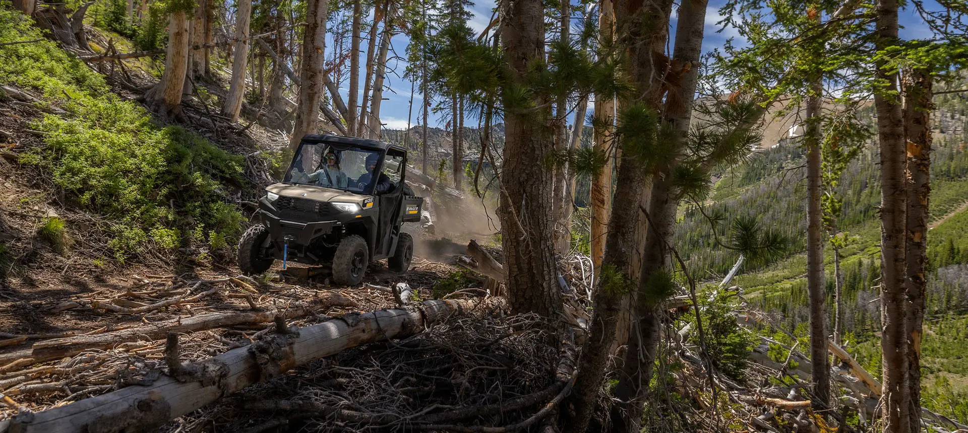 A Polaris RANGER 600 UTV driving over branches in a forest.