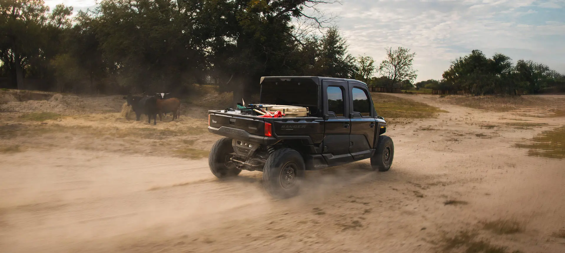 A Polaris RANGER XD 1500 NorthStar Texas Edition extreme duty UTV driving through a cattle pasture.