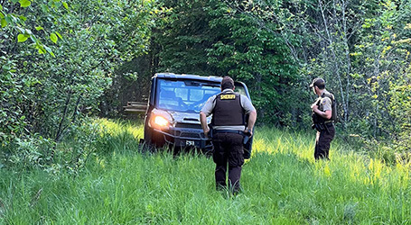 RANGER UTV Aids in Horse Rescue