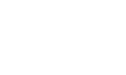 RZR logo.