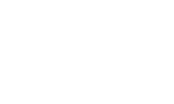 RZR logo.