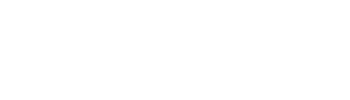 RZR Factory Racing logo.