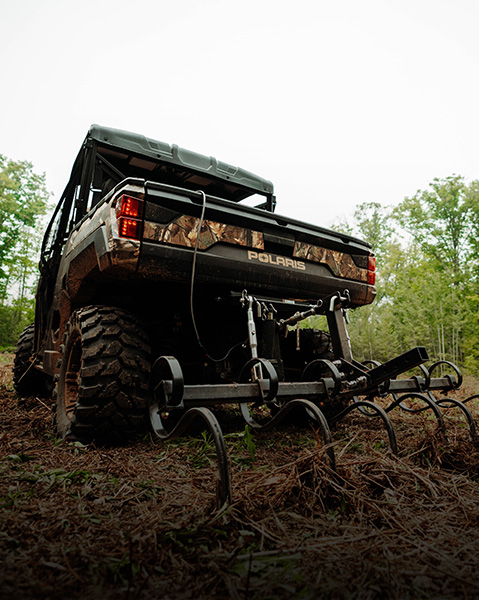 Read the How to Plan a Food Plot article.