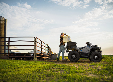 A man in a plaid shirt stands beside a Polaris Sportsman ATV, feeding cattle from buckets in a fenced pasture.